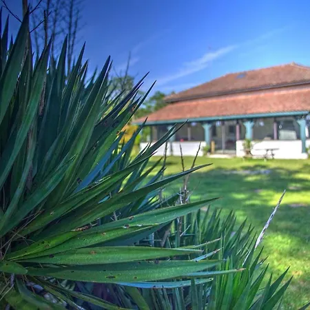 Maison Chaleureuse Avec Villa *